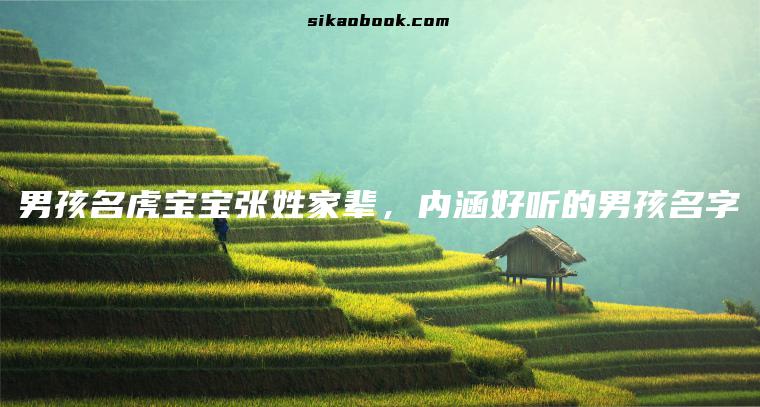 男孩名虎宝宝张姓家辈，内涵好听的男孩名字