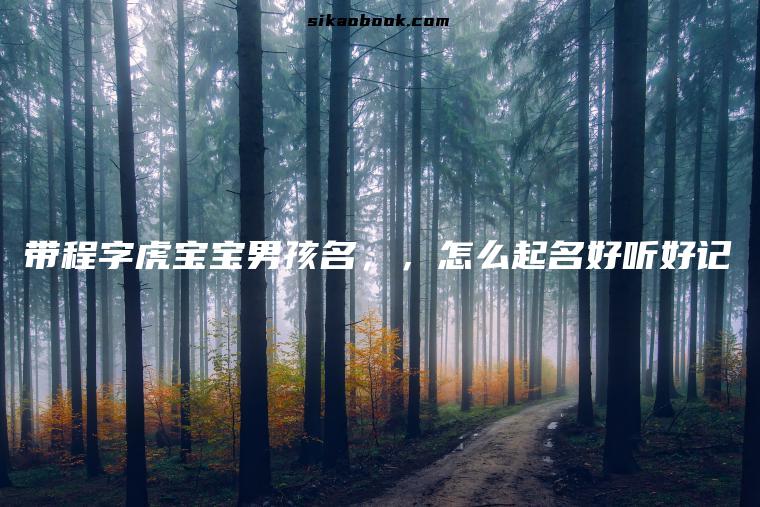 带程字虎宝宝男孩名，，怎么起名好听好记