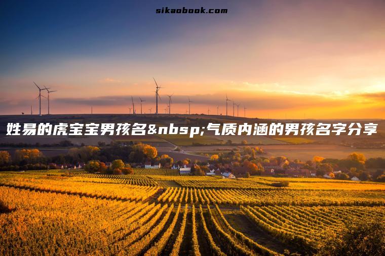 姓易的虎宝宝男孩名 气质内涵的男孩名字分享