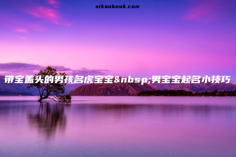 带宝盖头的男孩名虎宝宝 男宝宝起名小技巧