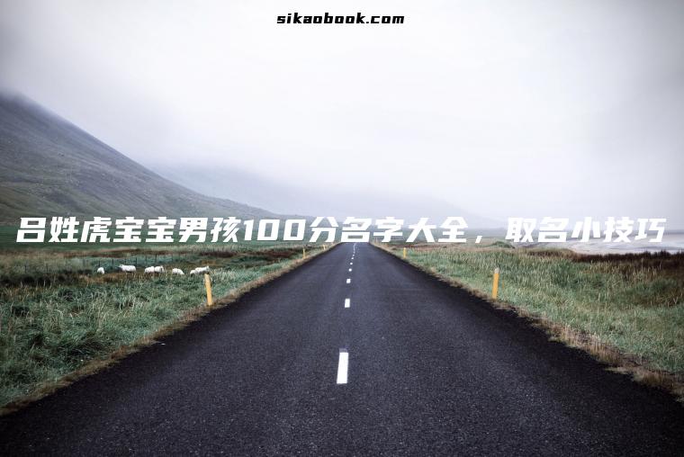 吕姓虎宝宝男孩100分名字大全，取名小技巧