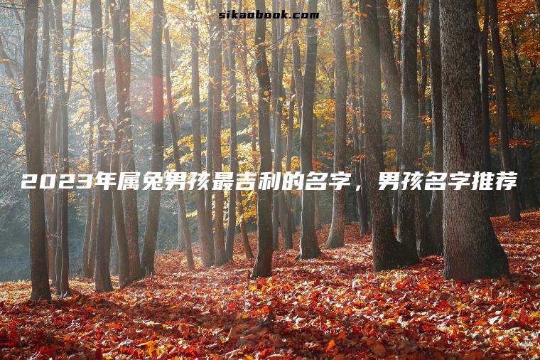 2023年属兔男孩最吉利的名字，男孩名字推荐