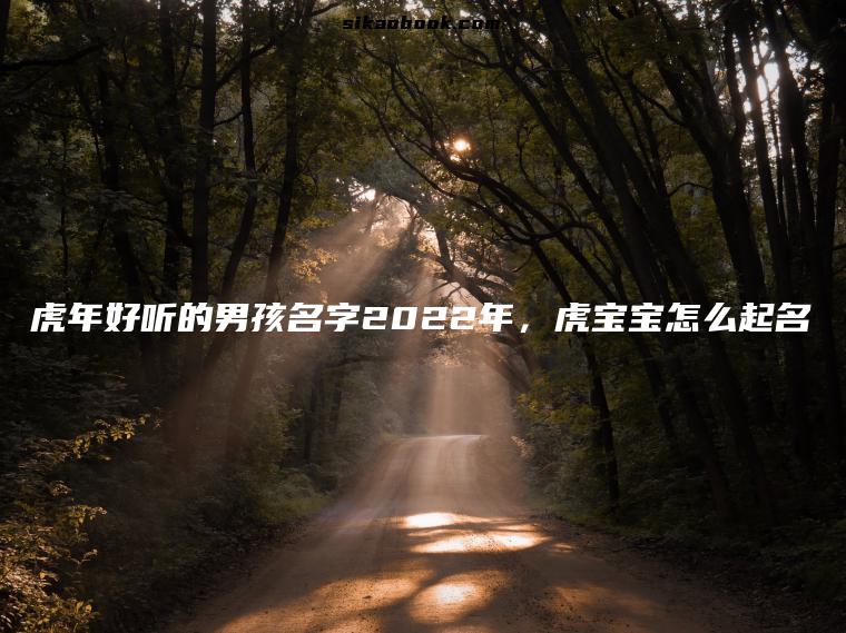虎年好听的男孩名字2022年，虎宝宝怎么起名