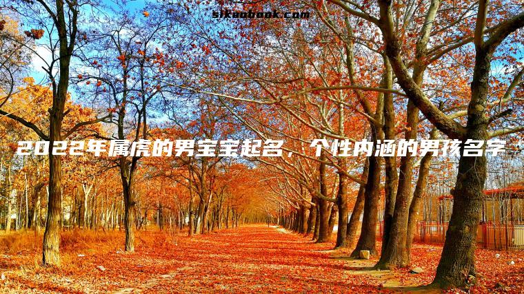 2022年属虎的男宝宝起名，个性内涵的男孩名字