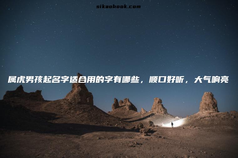 属虎男孩起名字适合用的字有哪些，顺口好听，大气响亮