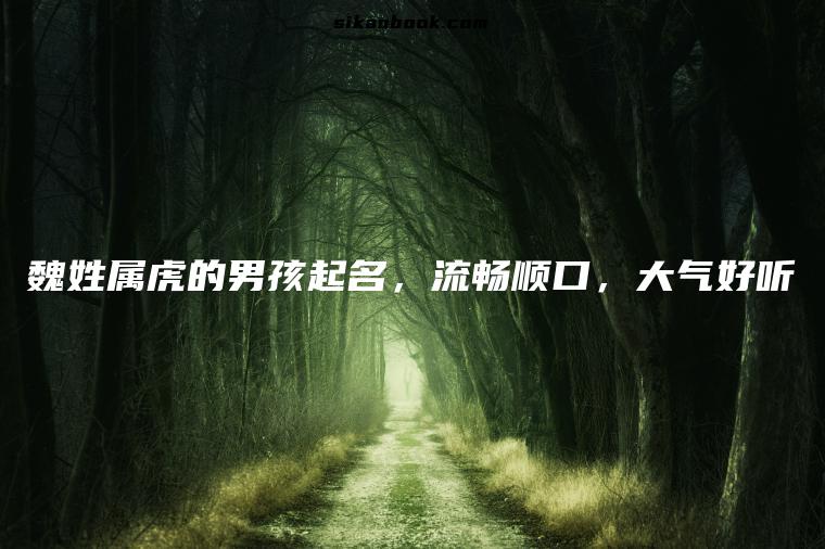 魏姓属虎的男孩起名，流畅顺口，大气好听