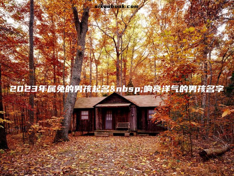 2023年属兔的男孩起名 响亮洋气的男孩名字