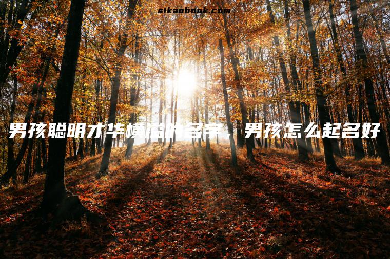 男孩聪明才华横溢的名字，男孩怎么起名好