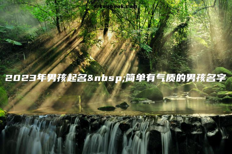 2023年男孩起名 简单有气质的男孩名字