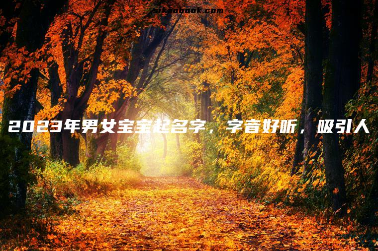 2023年男女宝宝起名字，字音好听，吸引人