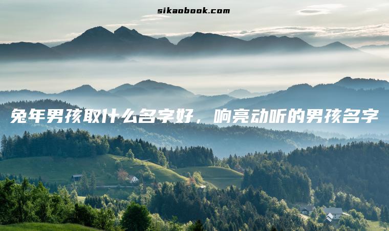 兔年男孩取什么名字好，响亮动听的男孩名字