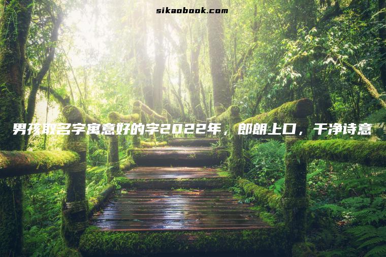 男孩取名字寓意好的字2022年，郎朗上口，干净诗意