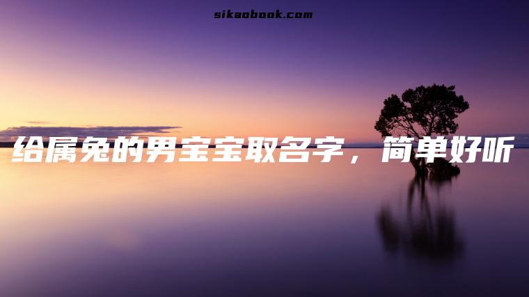 给属兔的男宝宝取名字，简单好听