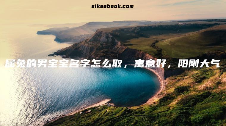 属兔的男宝宝名字怎么取，寓意好，阳刚大气
