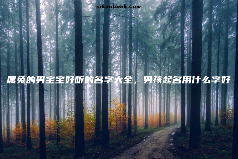 属兔的男宝宝好听的名字大全，男孩起名用什么字好