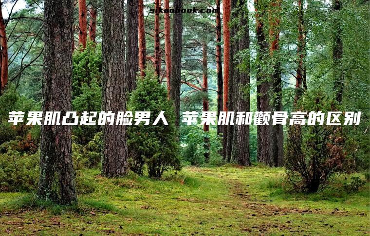 苹果肌凸起的脸男人 苹果肌和颧骨高的区别