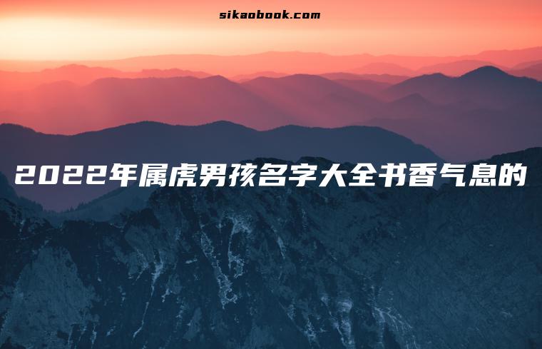 2022年属虎男孩名字大全书香气息的