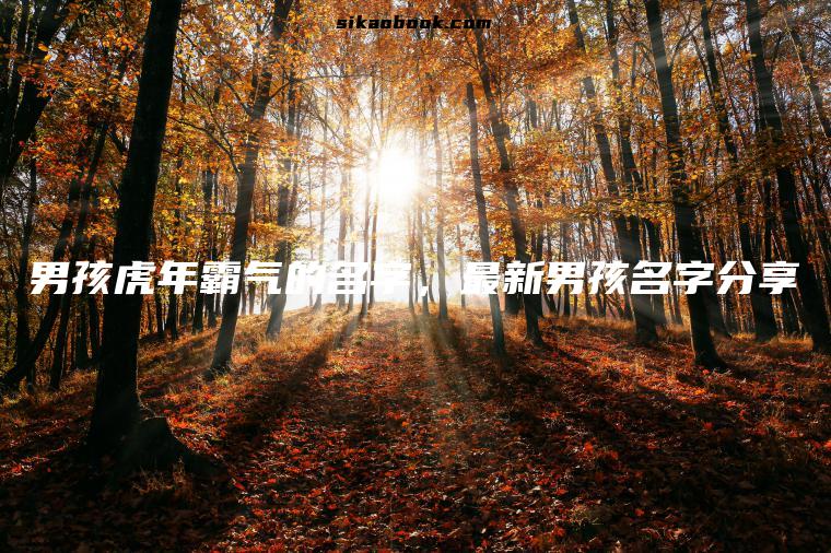 男孩虎年霸气的名字，最新男孩名字分享