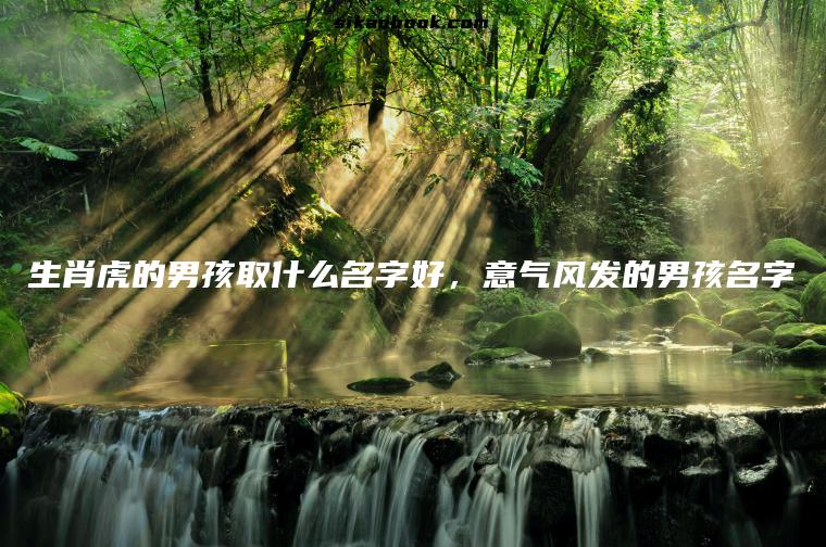 生肖虎的男孩取什么名字好，意气风发的男孩名字
