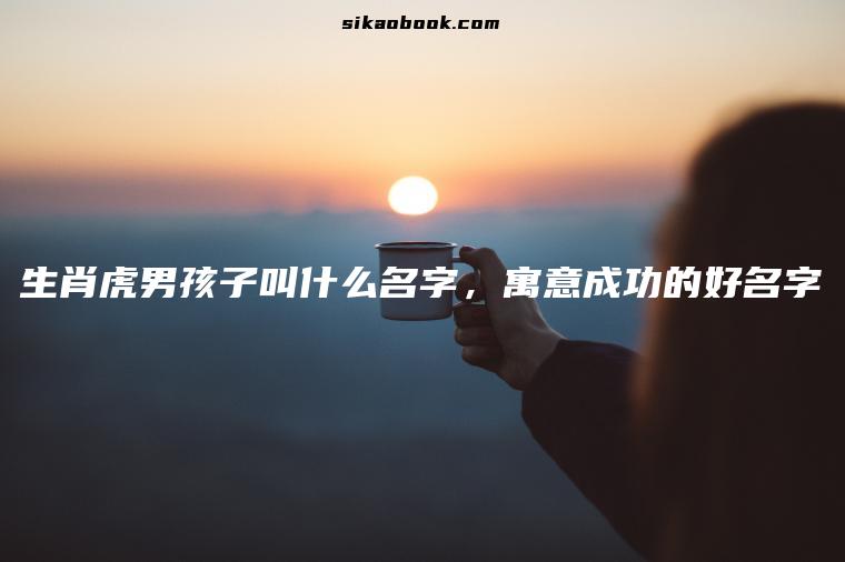 生肖虎男孩子叫什么名字，寓意成功的好名字