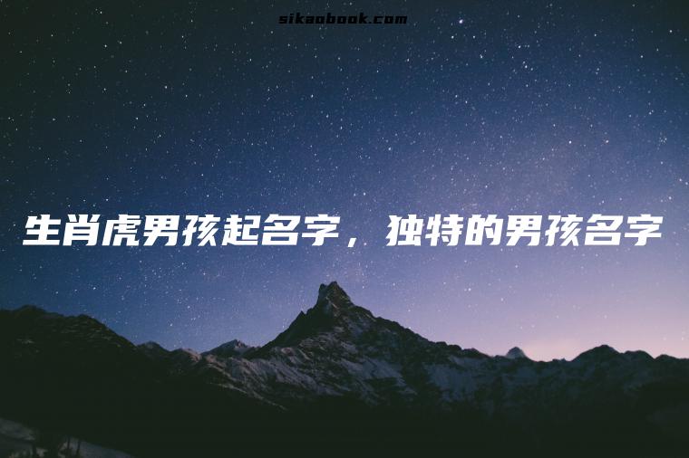 生肖虎男孩起名字，独特的男孩名字