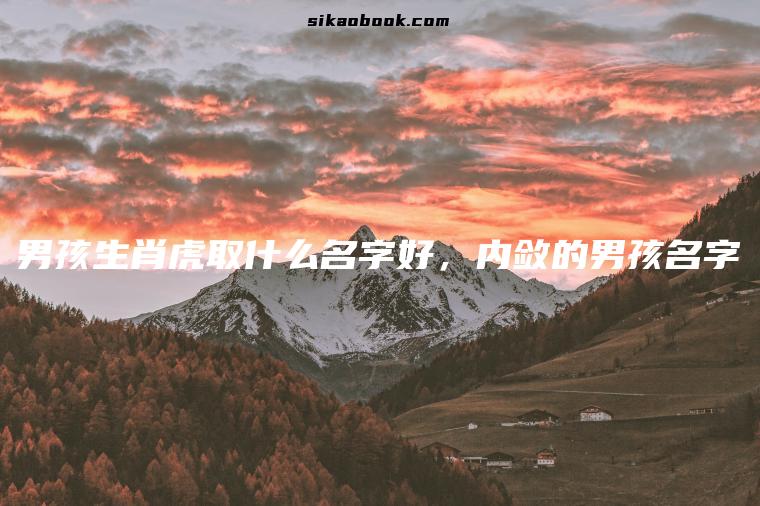 男孩生肖虎取什么名字好，内敛的男孩名字
