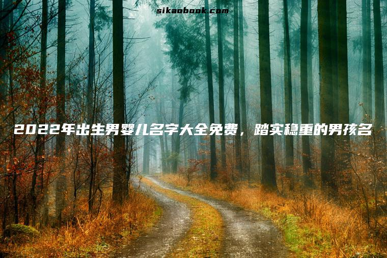2022年出生男婴儿名字大全免费，踏实稳重的男孩名