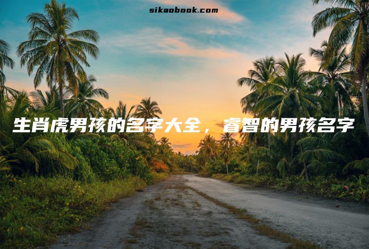 生肖虎男孩的名字大全，睿智的男孩名字