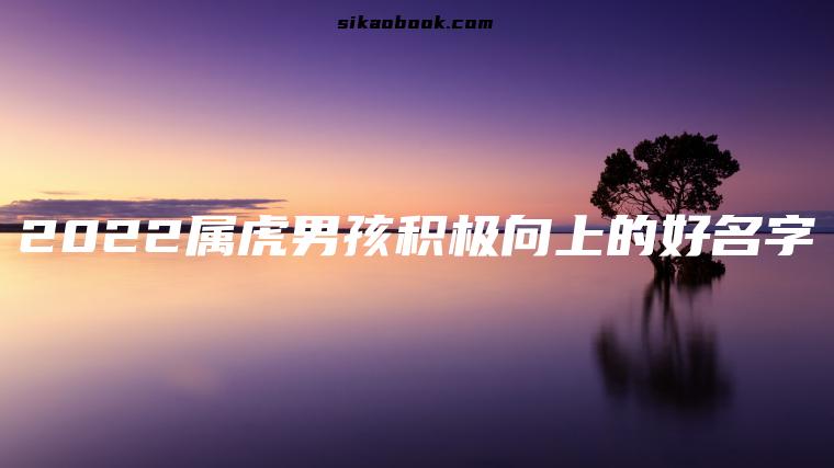 2022属虎男孩积极向上的好名字