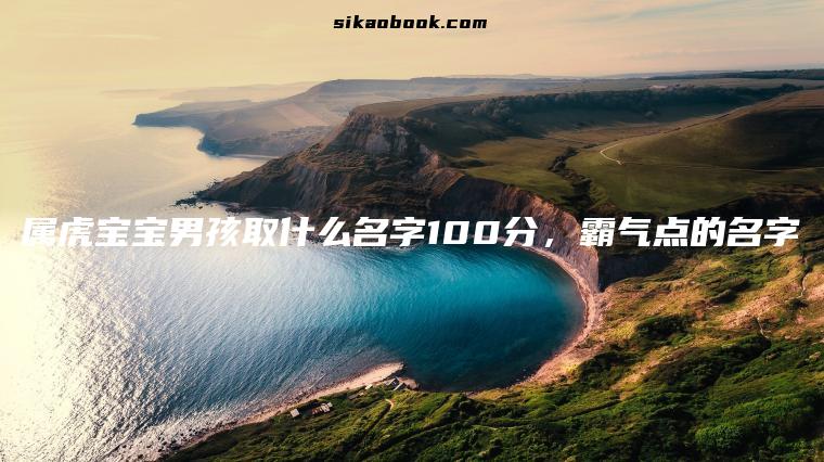 属虎宝宝男孩取什么名字100分，霸气点的名字
