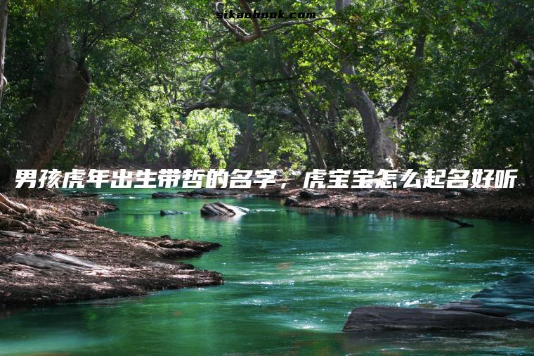 男孩虎年出生带哲的名字，虎宝宝怎么起名好听