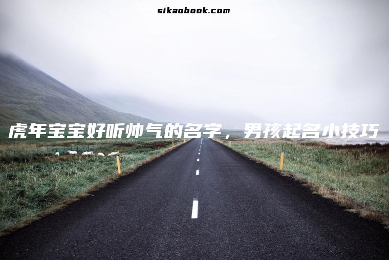 虎年宝宝好听帅气的名字，男孩起名小技巧