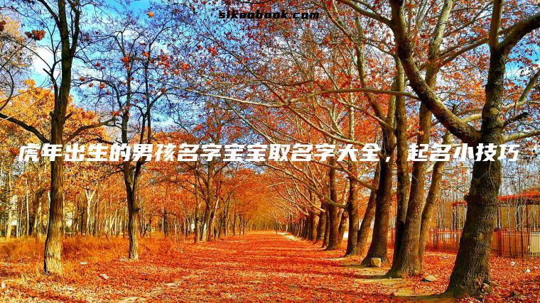 虎年出生的男孩名字宝宝取名字大全，起名小技巧