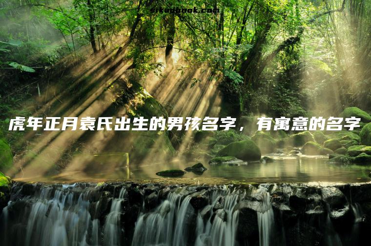 虎年正月袁氏出生的男孩名字，有寓意的名字