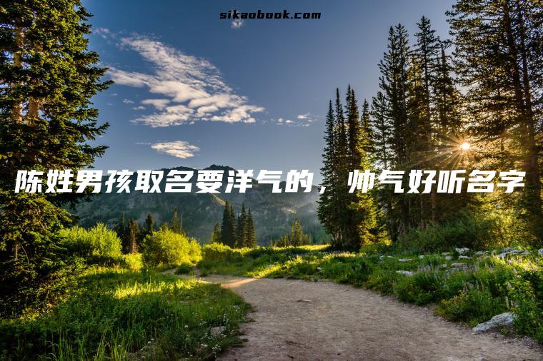 陈姓男孩取名要洋气的，帅气好听名字