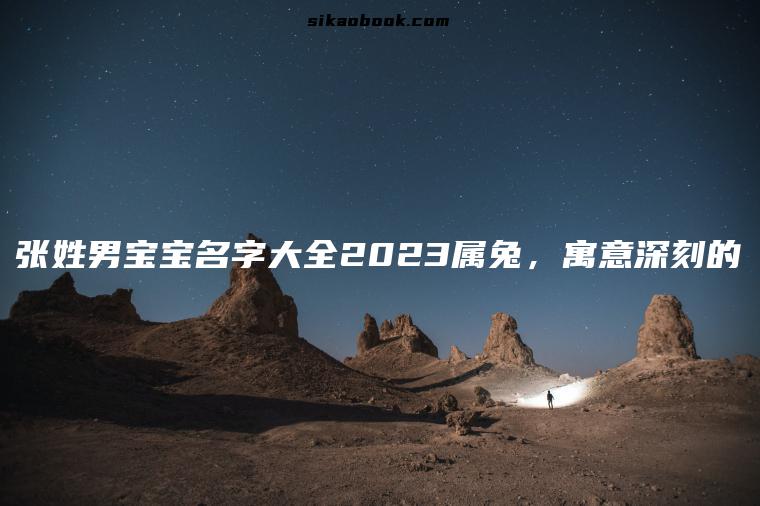 张姓男宝宝名字大全2023属兔，寓意深刻的
