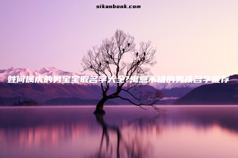 姓何属虎的男宝宝取名字大全?寓意不错的男孩名字推荐