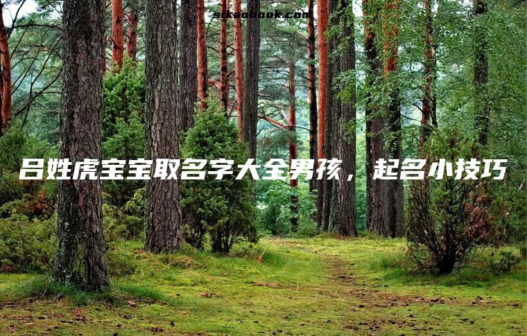 吕姓虎宝宝取名字大全男孩，起名小技巧