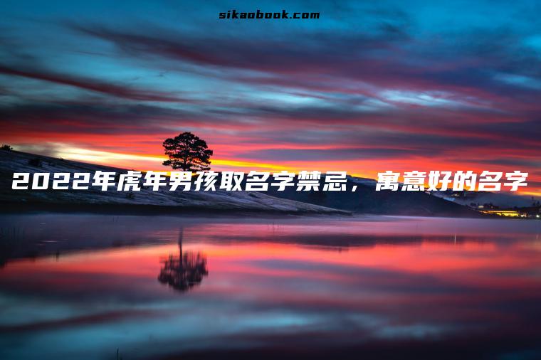2022年虎年男孩取名字禁忌，寓意好的名字