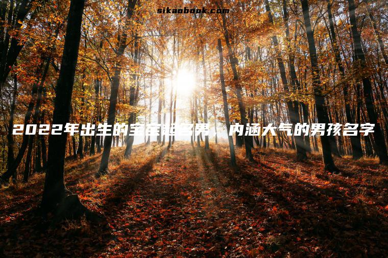 2022年出生的宝宝起名男，内涵大气的男孩名字