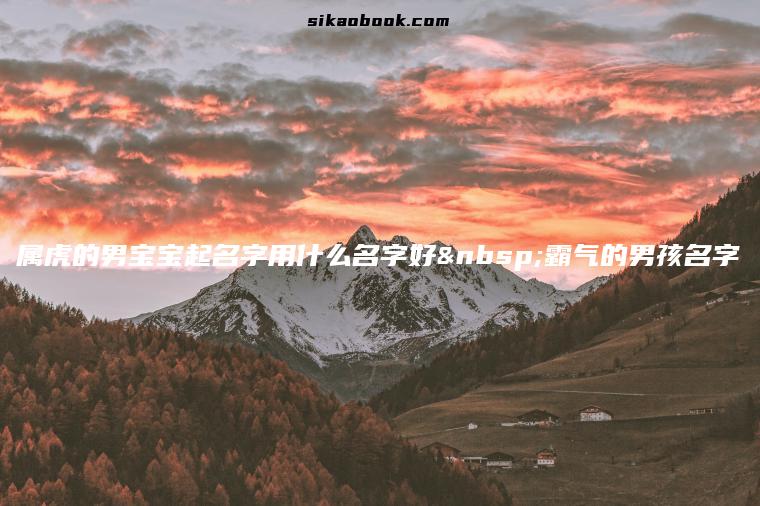 属虎的男宝宝起名字用什么名字好 霸气的男孩名字