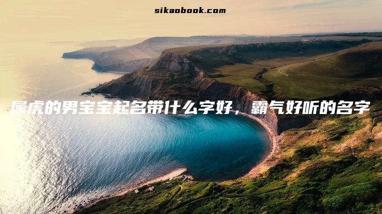 属虎的男宝宝起名带什么字好，霸气好听的名字