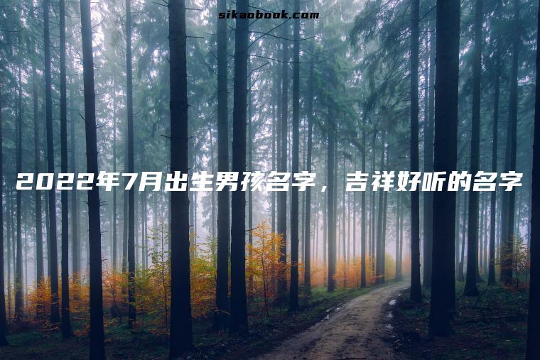 2022年7月出生男孩名字，吉祥好听的名字