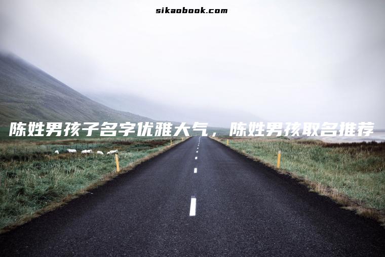 陈姓男孩子名字优雅大气，陈姓男孩取名推荐