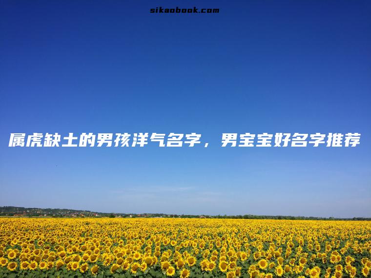属虎缺土的男孩洋气名字，男宝宝好名字推荐