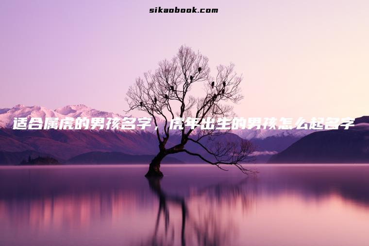 适合属虎的男孩名字，虎年出生的男孩怎么起名字