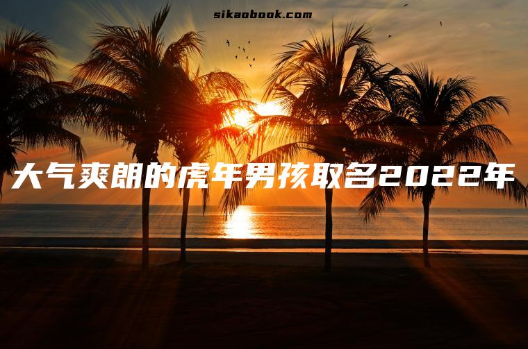 大气爽朗的虎年男孩取名2022年