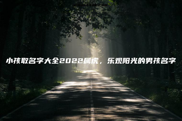 小孩取名字大全2022属虎，乐观阳光的男孩名字