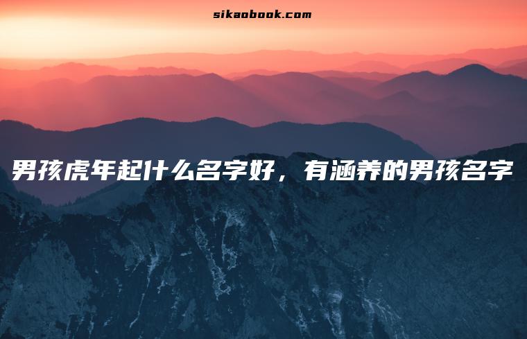 男孩虎年起什么名字好，有涵养的男孩名字