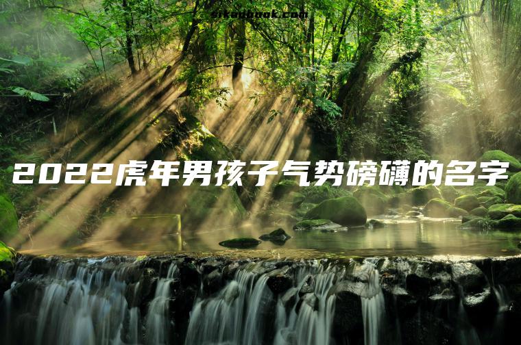 2022虎年男孩子气势磅礴的名字